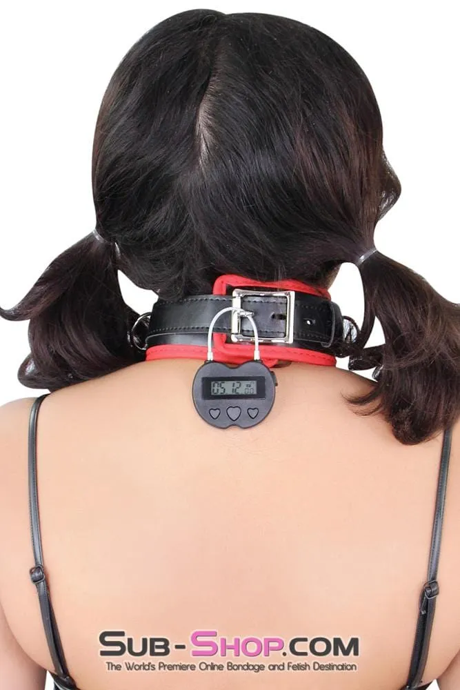 2747M      Heart Shaped Time Lock USB Rechargeable Lock, The Ultimate Self Bondage Lock