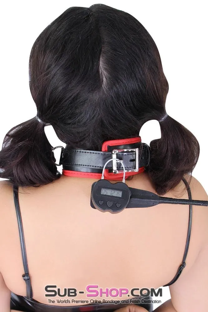 2747M      Heart Shaped Time Lock USB Rechargeable Lock, The Ultimate Self Bondage Lock