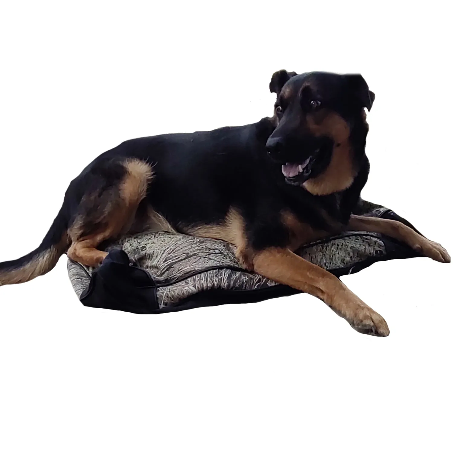 Buff Tuff: Pet Bed