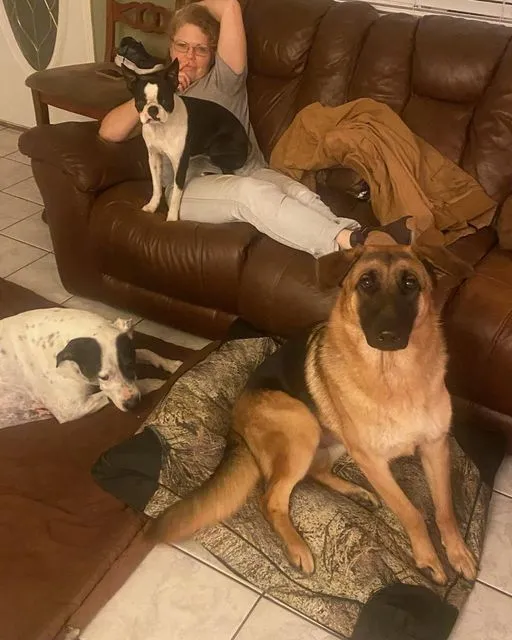 Buff Tuff: Pet Bed