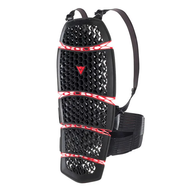 Dainese Pro-Armor 2.0 Back Protector
