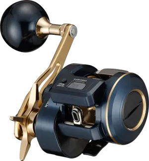 Daiwa 21 Saltiga IC300
