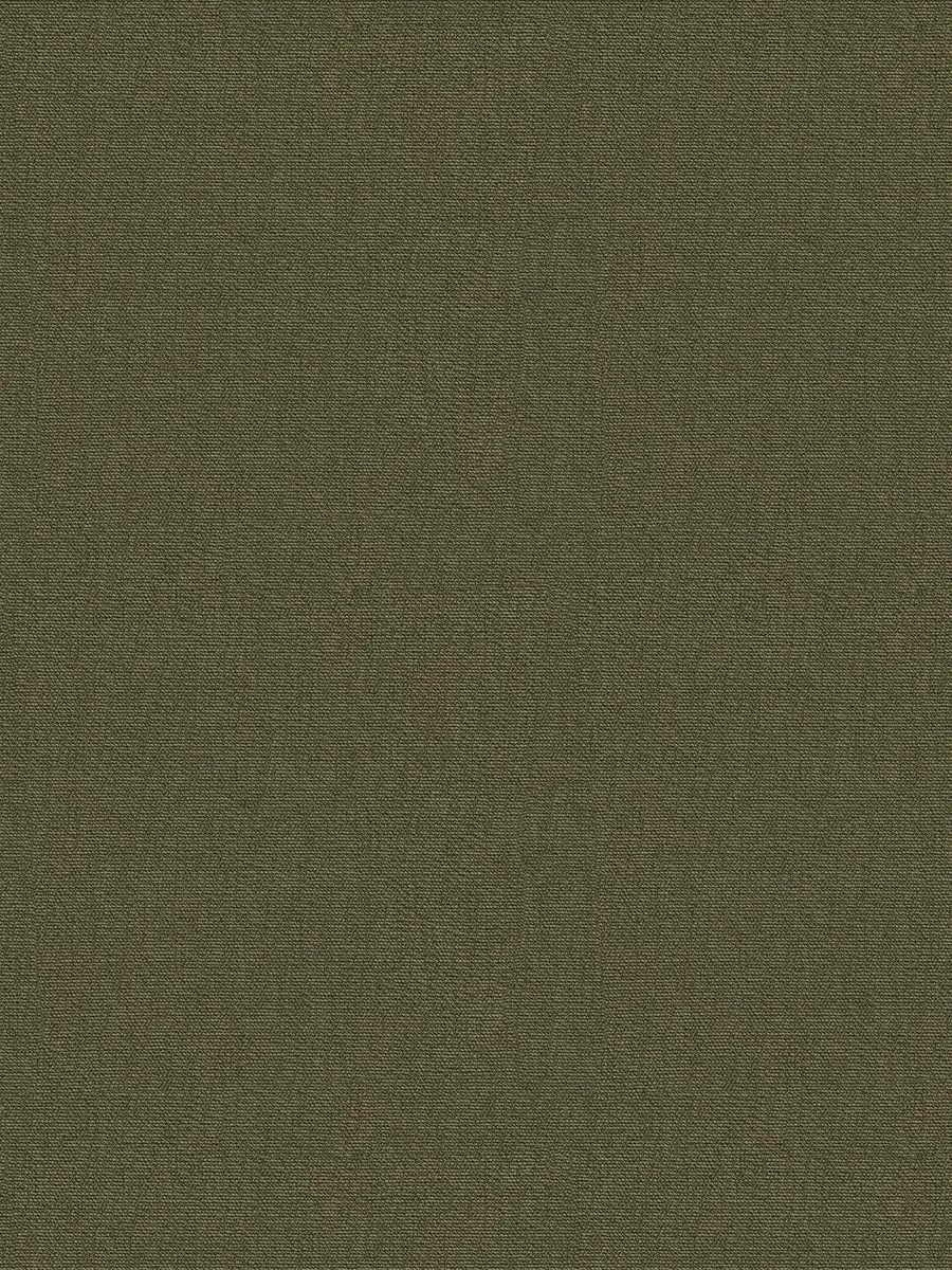 Expression-Olive