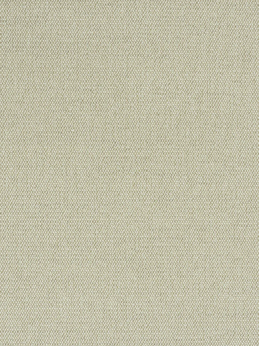 Expression-Oyster