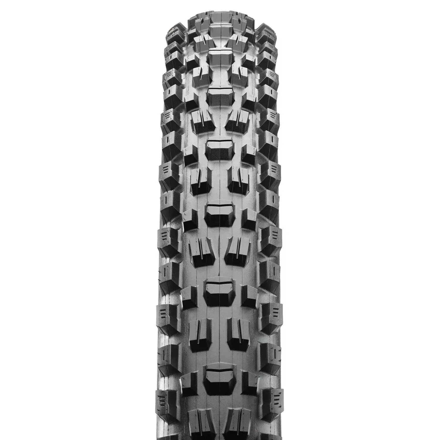 Maxxis Assegai Exo TR Folding Tyre - 29 X 2.5 WT