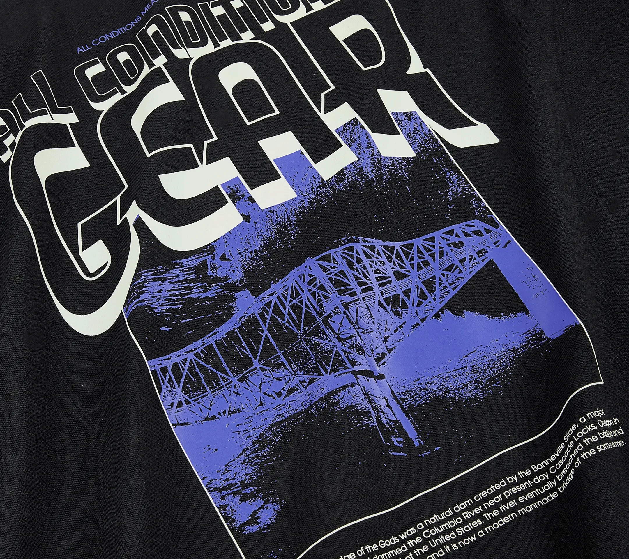 Nike ACG L/S T-Shirt "Trolls"