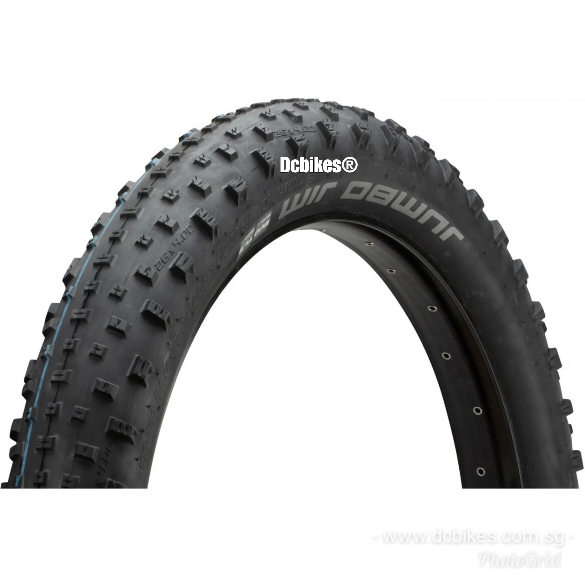Schwalbe 26 X 4.0" | 4.4" | 4.8" Jumbo Jim SnakeSkin Addix Speedgrip Tubeless Ready Fat Bike Folding Tyres (1 Tire)