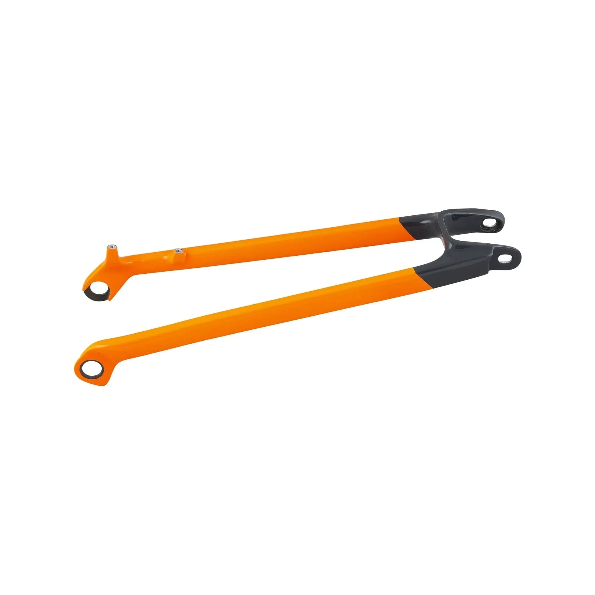 TREK RAIL 29 CARBON SEATSTAYS
