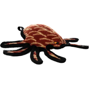 Tuffy Desert Spider